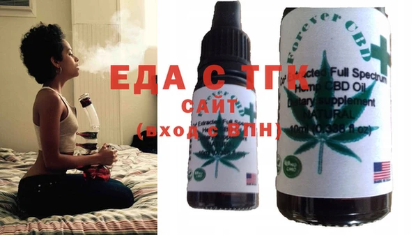 индика Алексин