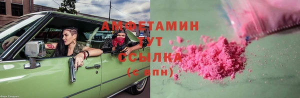 индика Алексин