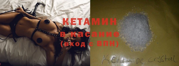 индика Алексин