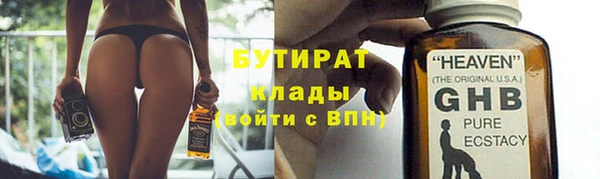 индика Алексин