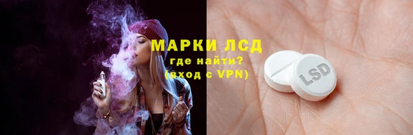 индика Алексин