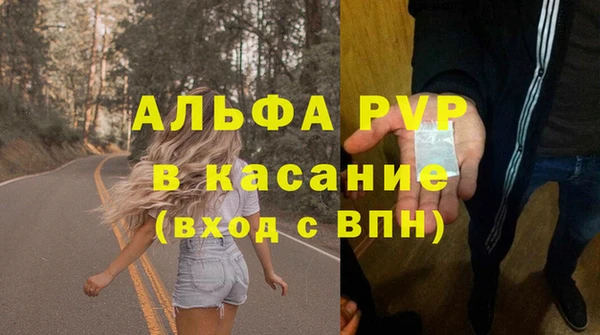 индика Алексин