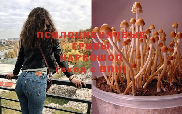 индика Алексин