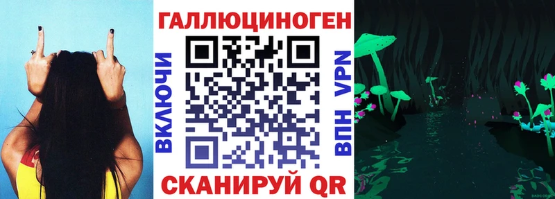 Псилоцибиновые грибы прущие грибы  Купить  Яблоновский 